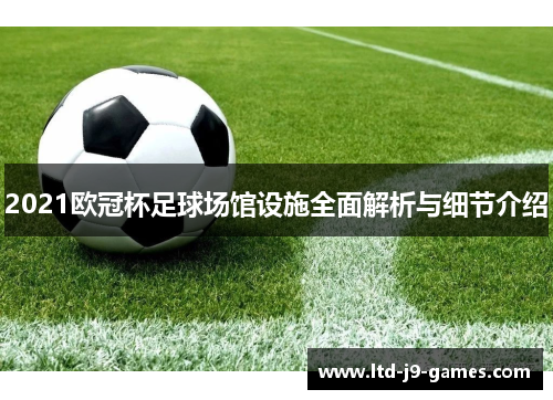 2021欧冠杯足球场馆设施全面解析与细节介绍