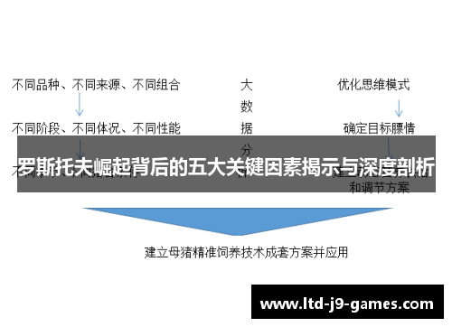 罗斯托夫崛起背后的五大关键因素揭示与深度剖析